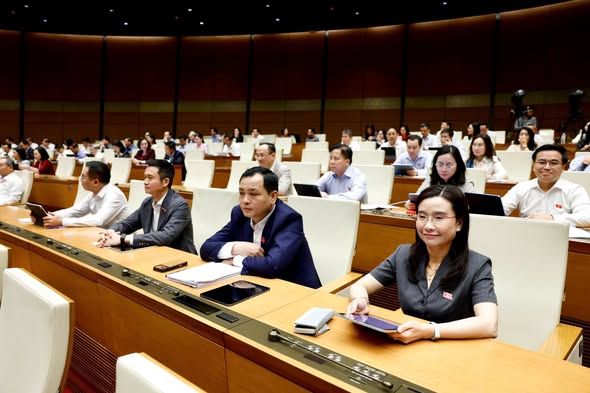 Mở rộng các thông tin công dân được tự do tiếp cận